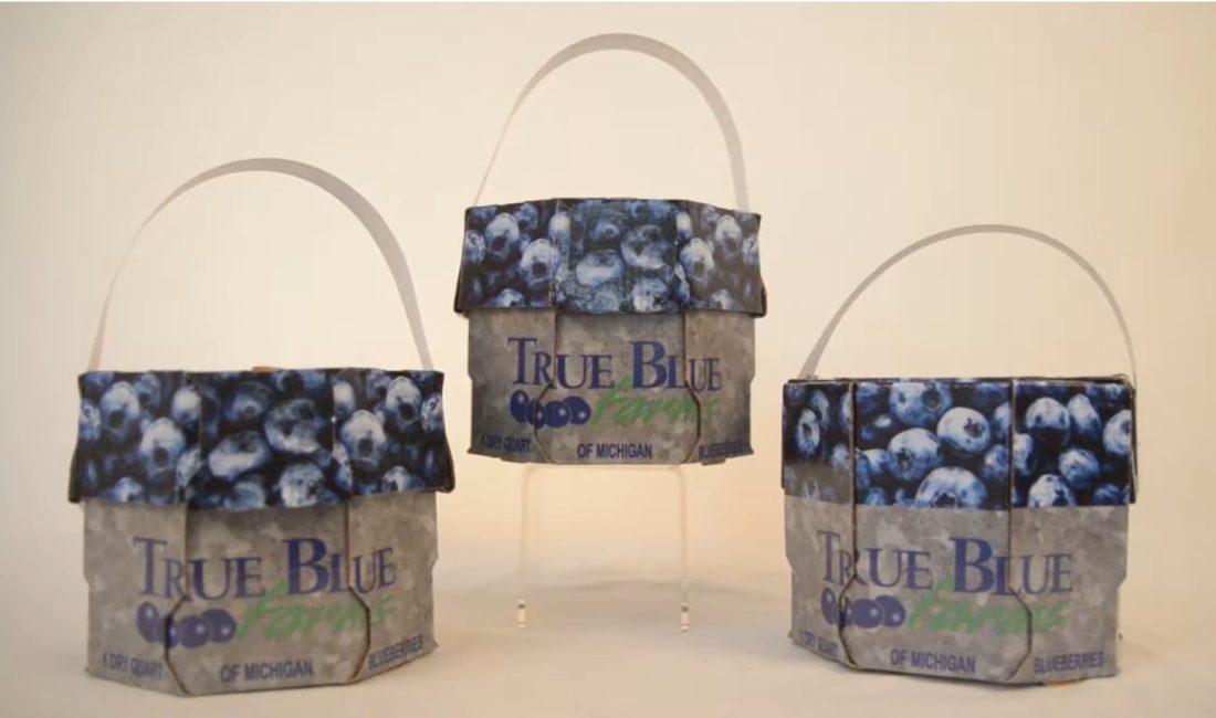 True Blue Blueberries